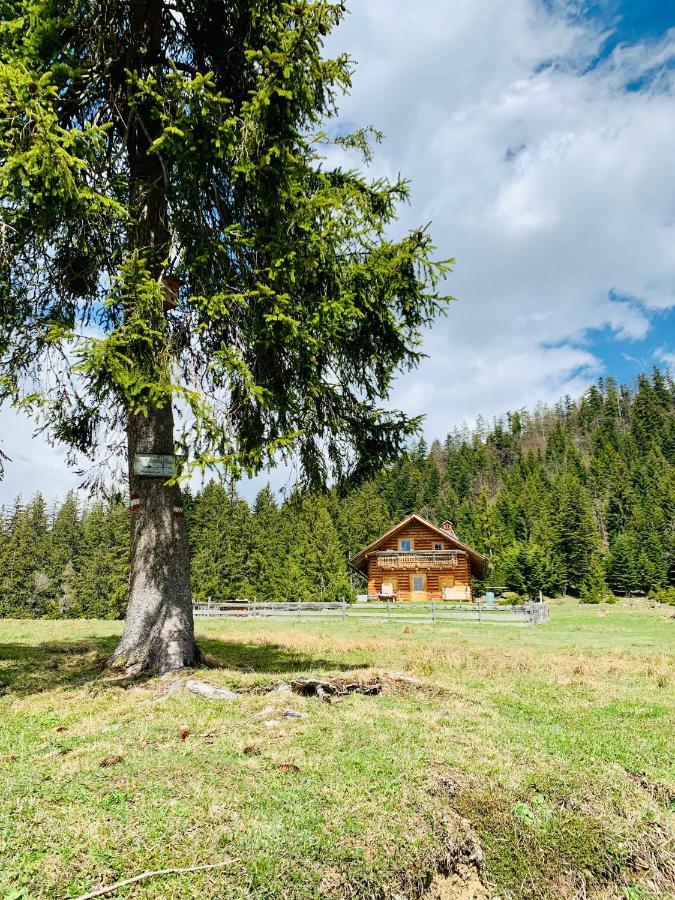 Appartement Bergheimat à Bad Goisern Extérieur photo
