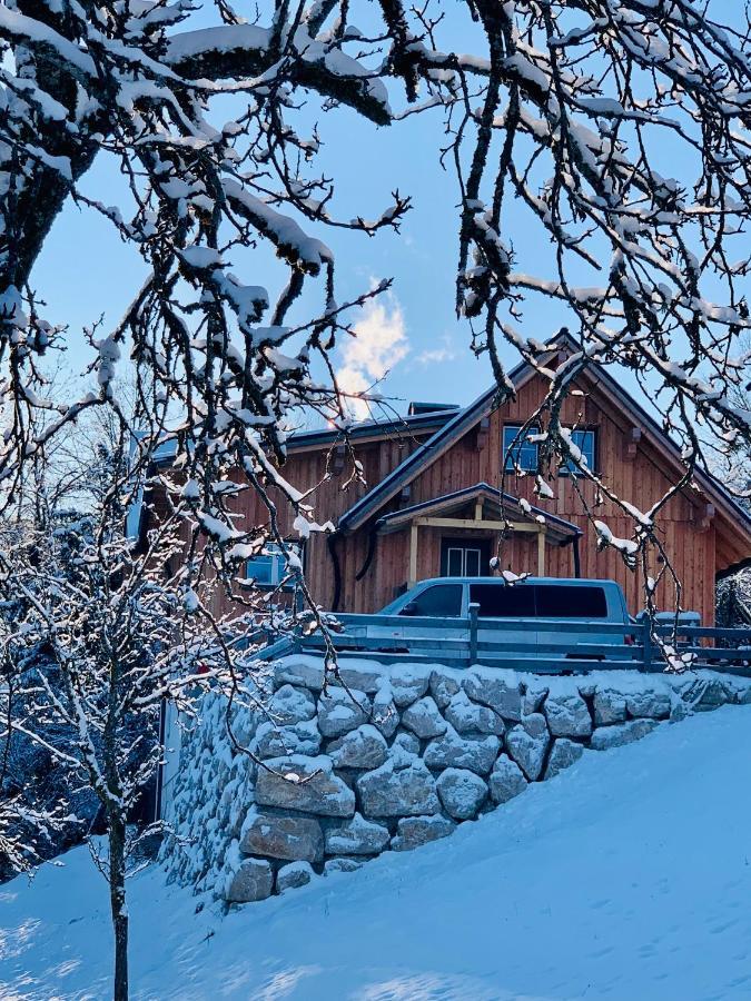 Appartement Bergheimat à Bad Goisern Extérieur photo