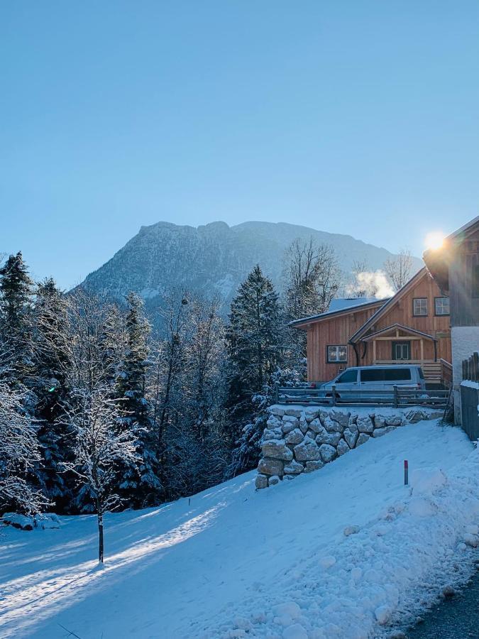 Appartement Bergheimat à Bad Goisern Extérieur photo